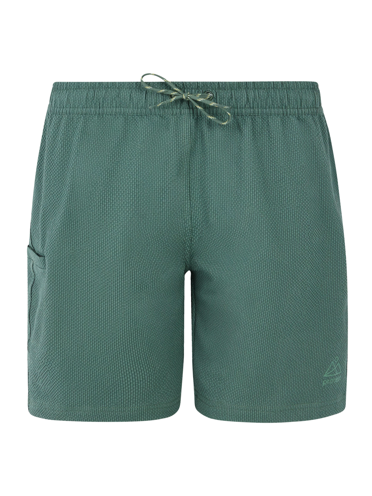 Protest PRTAgaat 25 Swimming Shorts-8