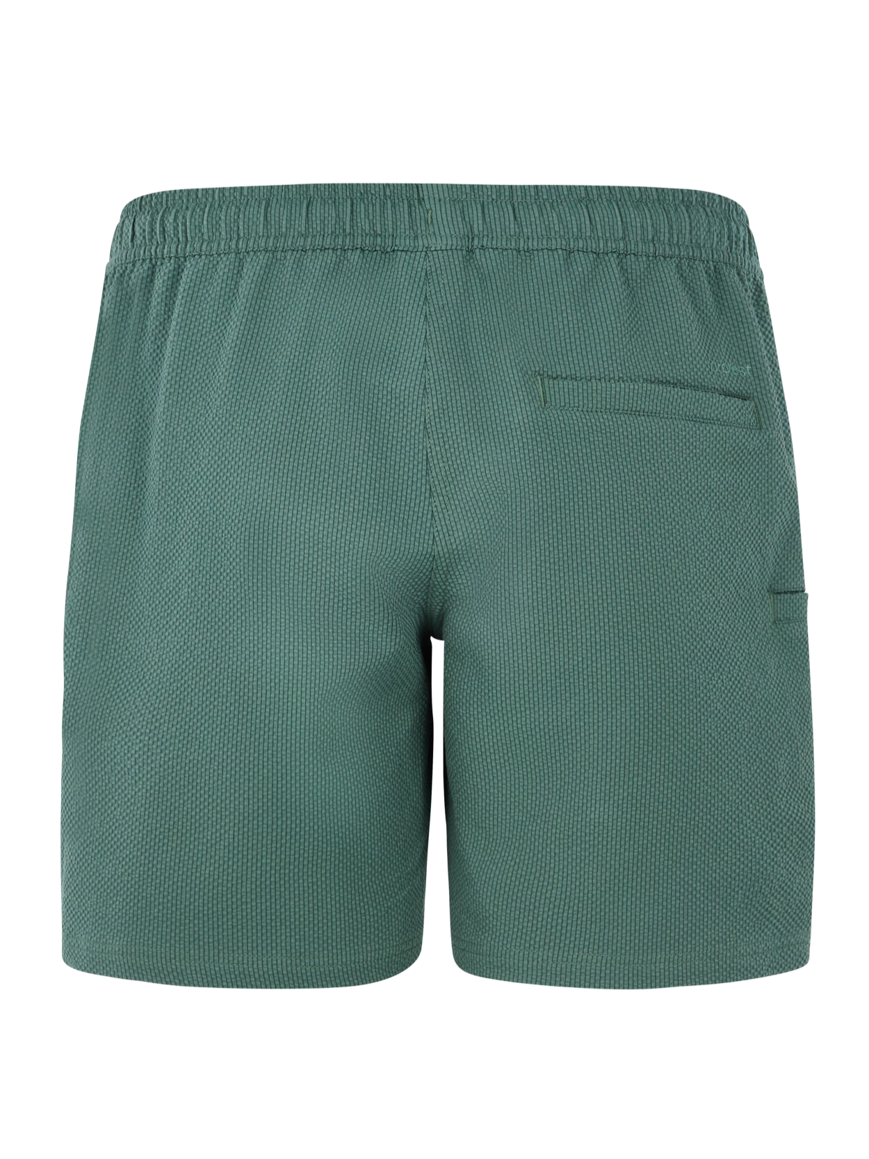 Protest PRTAgaat 25 Swimming Shorts-9