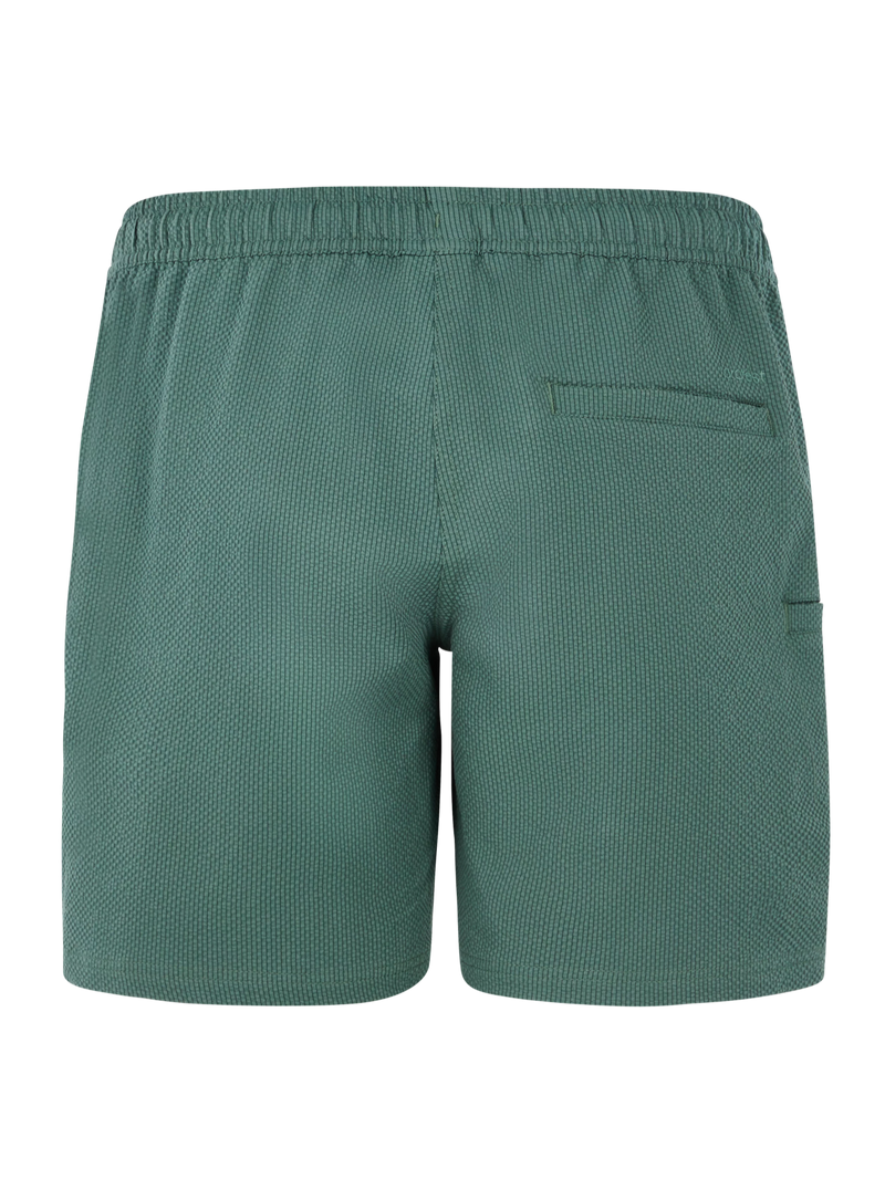 Protest PRTAgaat 25 Swimming Shorts-9