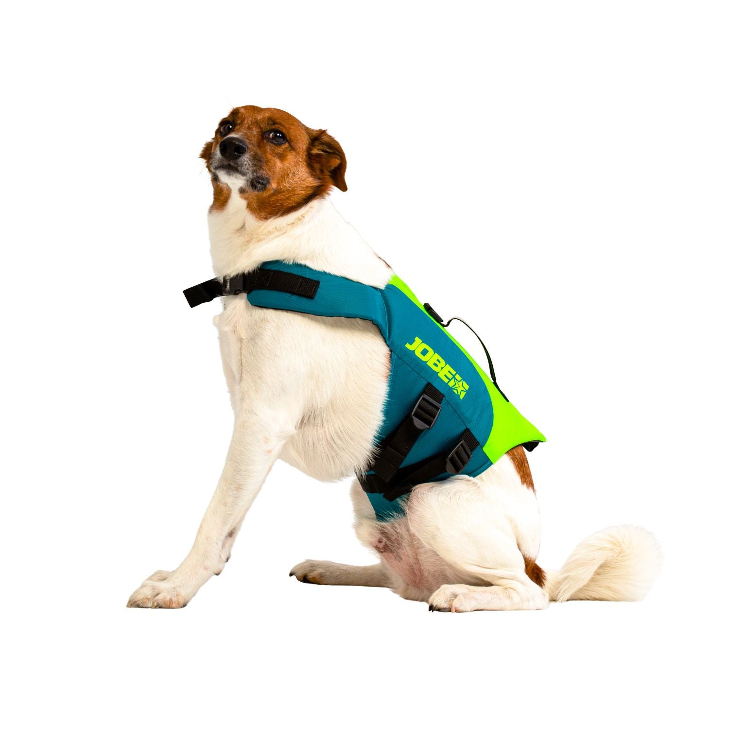JOBE pet VEST
