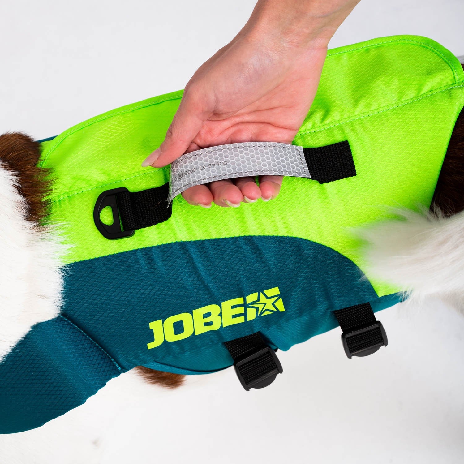 JOBE pet VEST-4