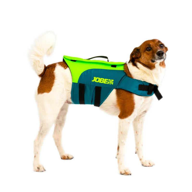 JOBE pet VEST-2
